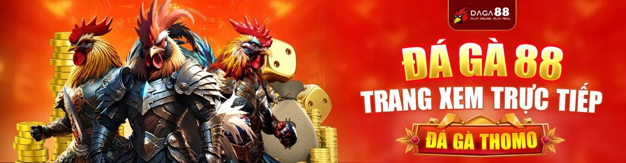 Đá gà trực tuyến 88xx app